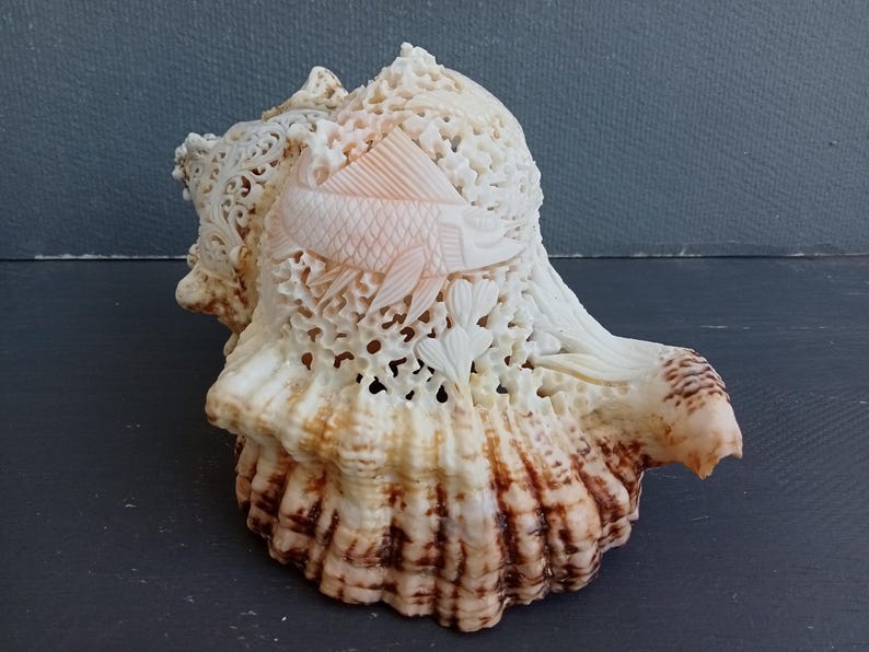 Counch Shell Fish Hand Carved Marlin Fish Conch Shell: Natural Sea Shell Decor - Etsy ...