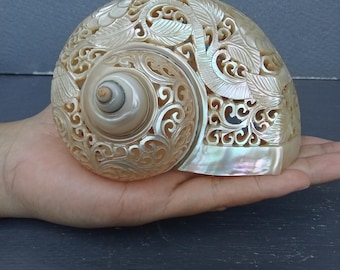 Carved Conch Shell Hummingbird Natural Sea Shell Art