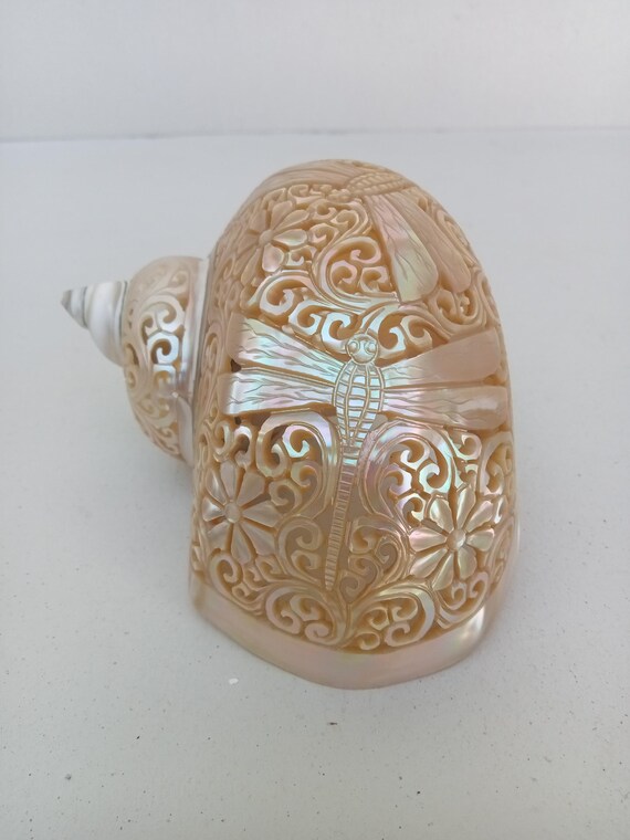 Natural Carved Turbo Conch Shell Dragonfly Designs