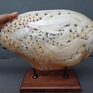 Könnte beinhalten: Eine ovale, cremefarbene Muschelskulptur mit detaillierten, handgeschnitzten Reliefs von mehreren Walen, die zwischen Korallen und Meereslebewesen schwimmen. Die Muschel ist auf einem dunkelbraunen Holzsockel mit schwarzen Metallstützen montiert.