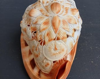 Natural Carved Conch Shell with Lotus Design- Red Helmet Shell