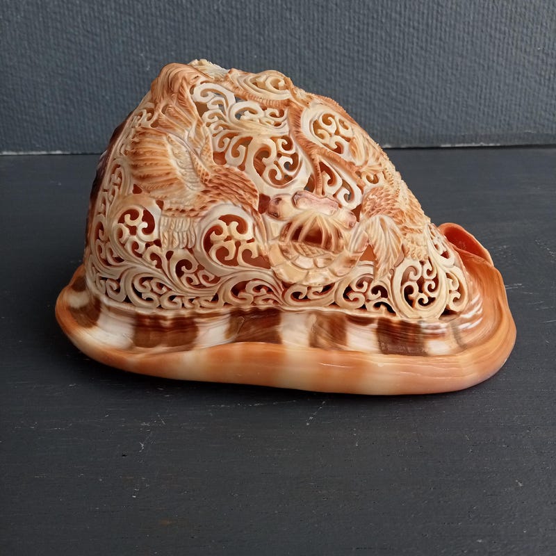 Red Conches - Etsy