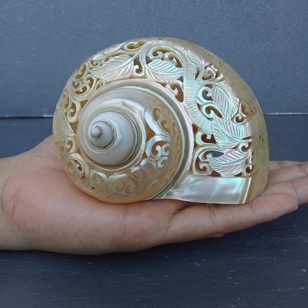 Colibrí tallado en concha marina natural