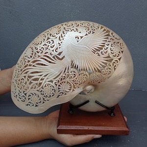 Conchiglia di Nautilus intagliata con perla e design a fenice su supporto: vera e naturale conchiglia