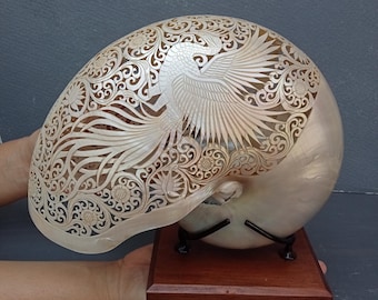 Diseño de fénix con concha de nautilo tallada en perla sobre soporte: concha marina auténtica y natural.
