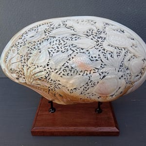 clam shell,carved pearl mussel clam shell XL size on stand,sea animal theme,real and natural sea shell, beach decor