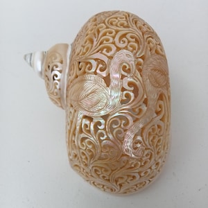 Carved Pearl Turbo Snail Shell Flamingo Design Natural Seashell Art
