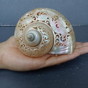Geschnitzte Muschel Muschel Kolibri natürliche Sea Shell Art