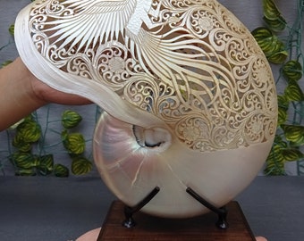 carved pearl nautilus shell phoenix sculpture,real and natural sea shell,hand carved