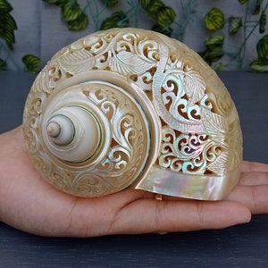 carved pearl turbo shell,hummingbird theme,natural sea shell,polished and hand carved