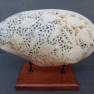 Madreperla natural tallada a mano con diseños de animales marinos y gran tamaño