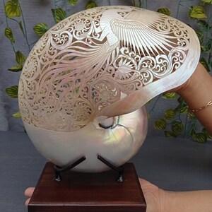 carved pearl nautilus shell phoenix sculpture,real and natural sea shell,hand carved