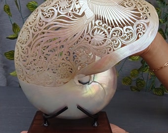 carved pearl nautilus shell phoenix sculpture,real and natural sea shell,hand carved
