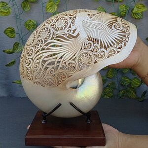 carved pearl nautilus shell phoenix sculpture,real and natural sea shell,hand carved