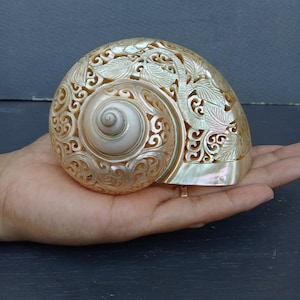 Carved pearl turbo shell hummingbird theme,natural sea shell polished and hand carved,sea shell art