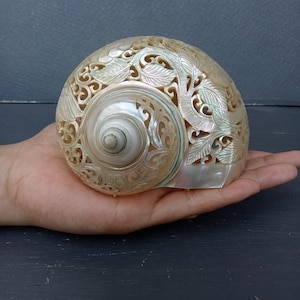 Carved Conch Shell Hummingbird Natural Sea Shell Art