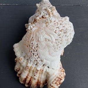 May include: A large, off-white seashell featuring an intricate, hand-carved relief of a mermaid with long flowing hair. The shell surface is heavily textured with openwork filigree patterns, while the base retains natural brown and tan markings.