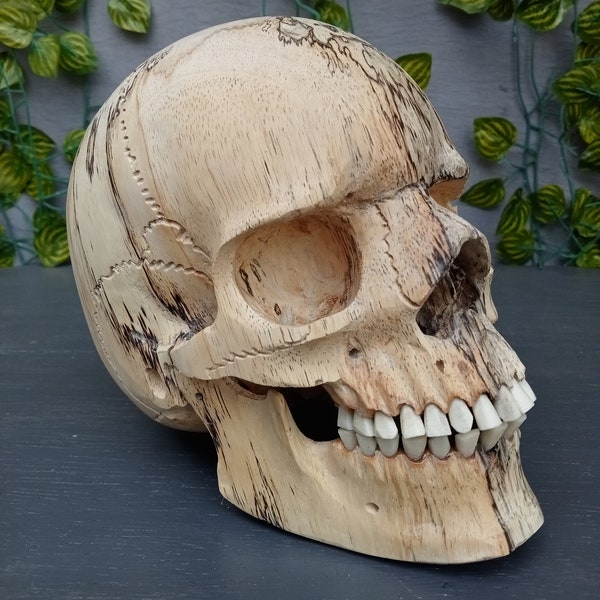 wooden human skull,made of tamarind wood and teeth from cow bone,human skull replica,hand carved skull