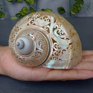 carved pearl turbo shell,hummingbird theme,natural sea shell,polished and hand carved