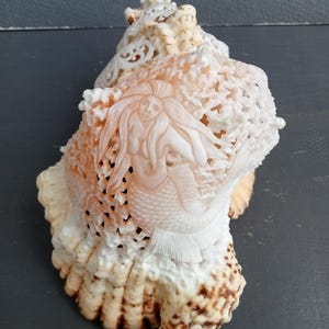 May include: A large, intricately carved seashell featuring a detailed relief of a mermaid with long flowing hair. The shell has a cream and peach-colored surface with openwork lattice patterns surrounding the central mermaid figure.