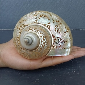 Carved Conch Shell Hummingbird Natural Sea Shell Art