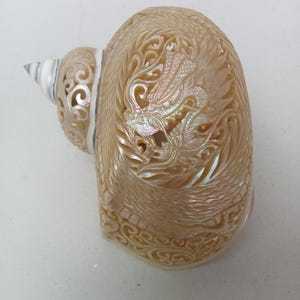 Hand Carved Pearl Turbo Snail Shell Dragon Design Natural Sea Shell Art