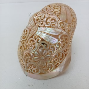 Natural Carved Turbo Conch Shell Dragonfly Designs