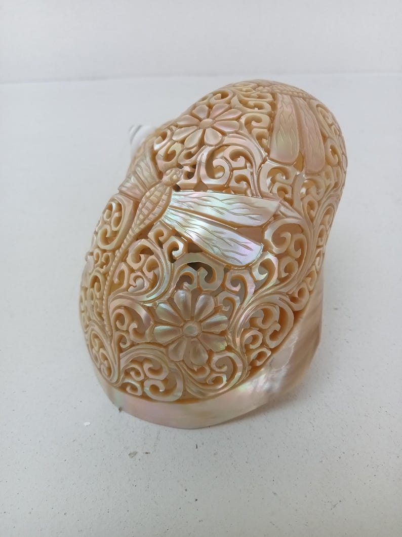 Natural Carved Turbo Conch Shell Dragonfly Designs
