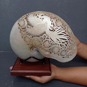 Carved Pearl Nautilus Shell Phoenix Design on Stand: Real and Natural Seashell