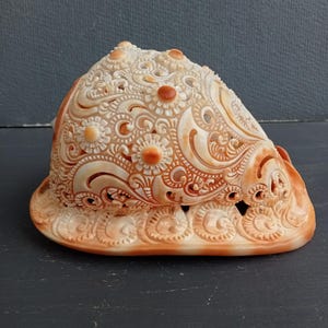 Carved Conch Shell Red Helmet Shell Natural Seashell