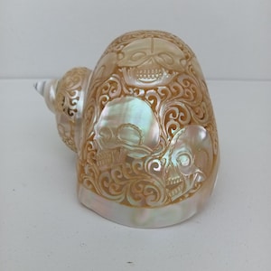 May include: A carved seashell with a pearlescent finish. The shell features intricate carvings of skulls and swirling patterns. The color is a mix of beige, cream, and iridescent hues, creating a unique decorative piece.