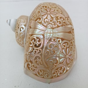 Natural Carved Turbo Conch Shell Dragonfly Designs