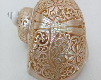 Natural Carved Turbo Conch Shell Dragonfly Designs