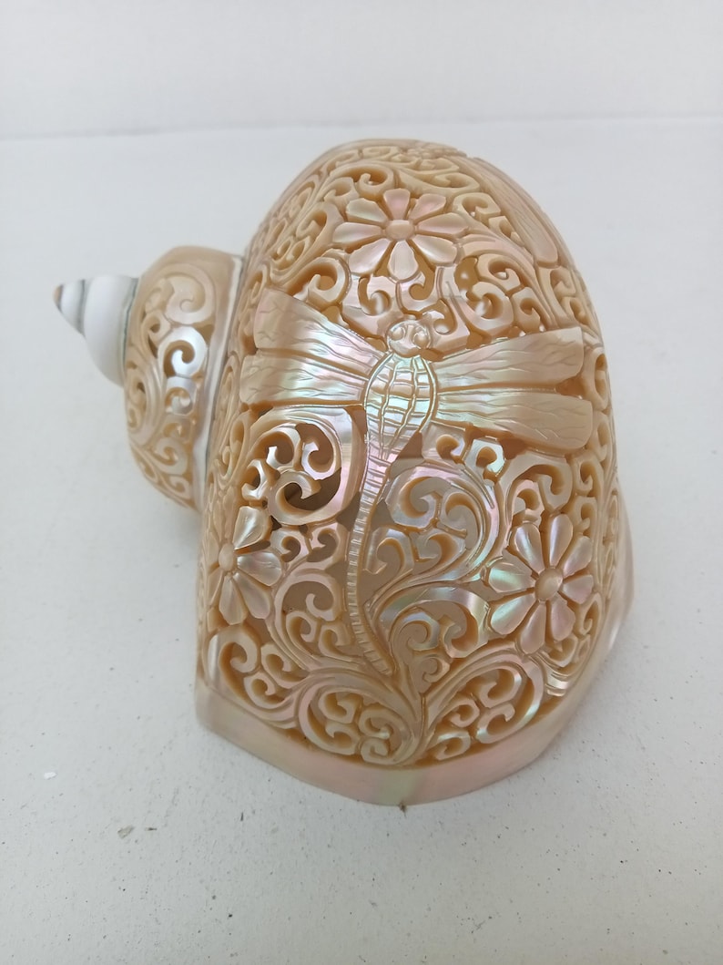 Natural Carved Turbo Conch Shell Dragonfly Designs