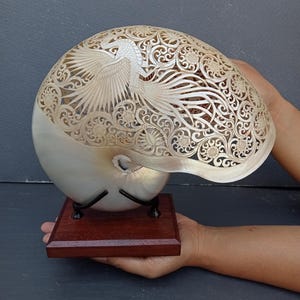 Carved nautilus shell phoenix carving,natural sea shell,hand carved