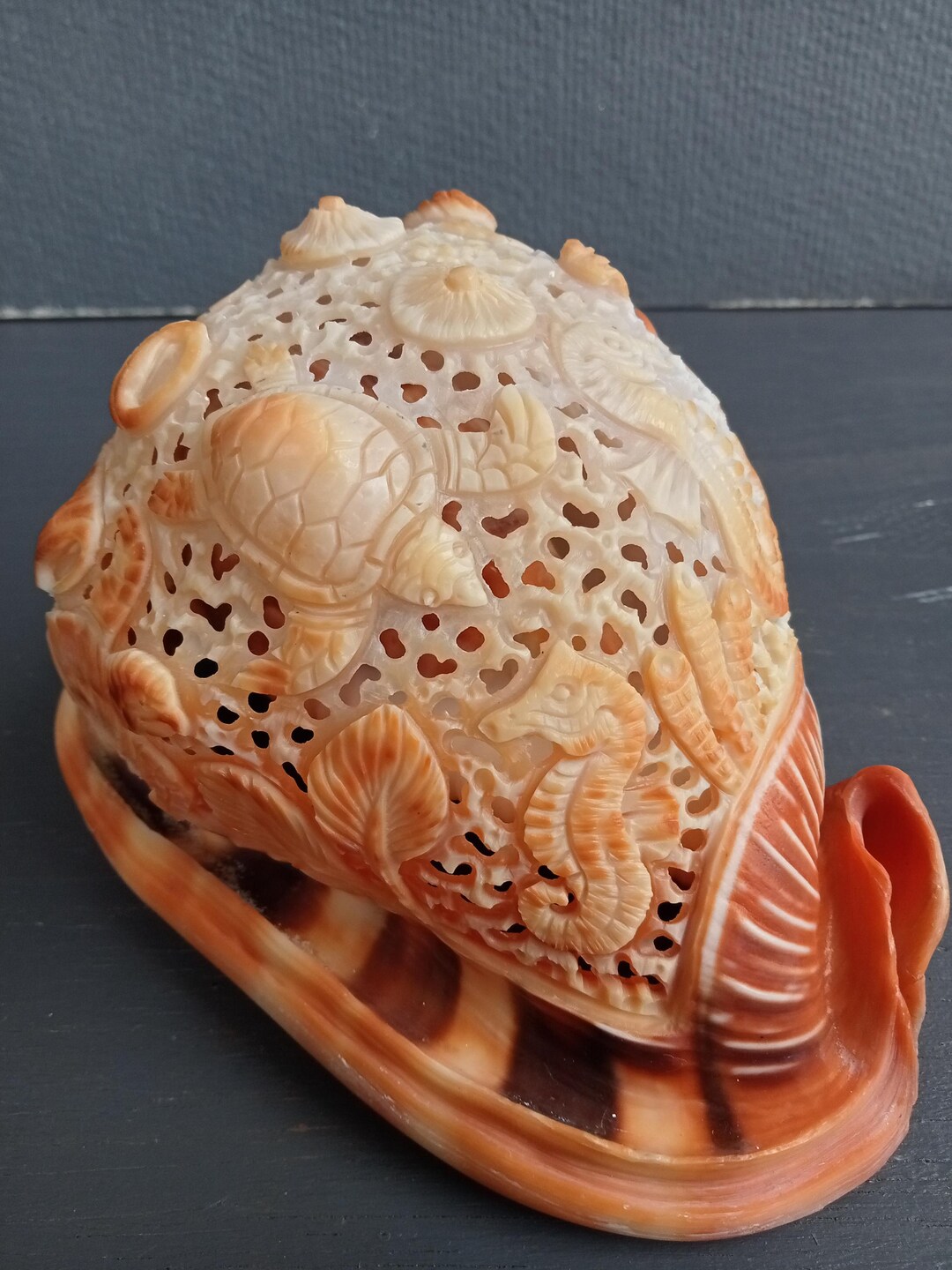 Turtle Shell Conk Hand Carved Conch Shell, Sea Turtle, Seahorse, Natural Seashell - Etsy ...