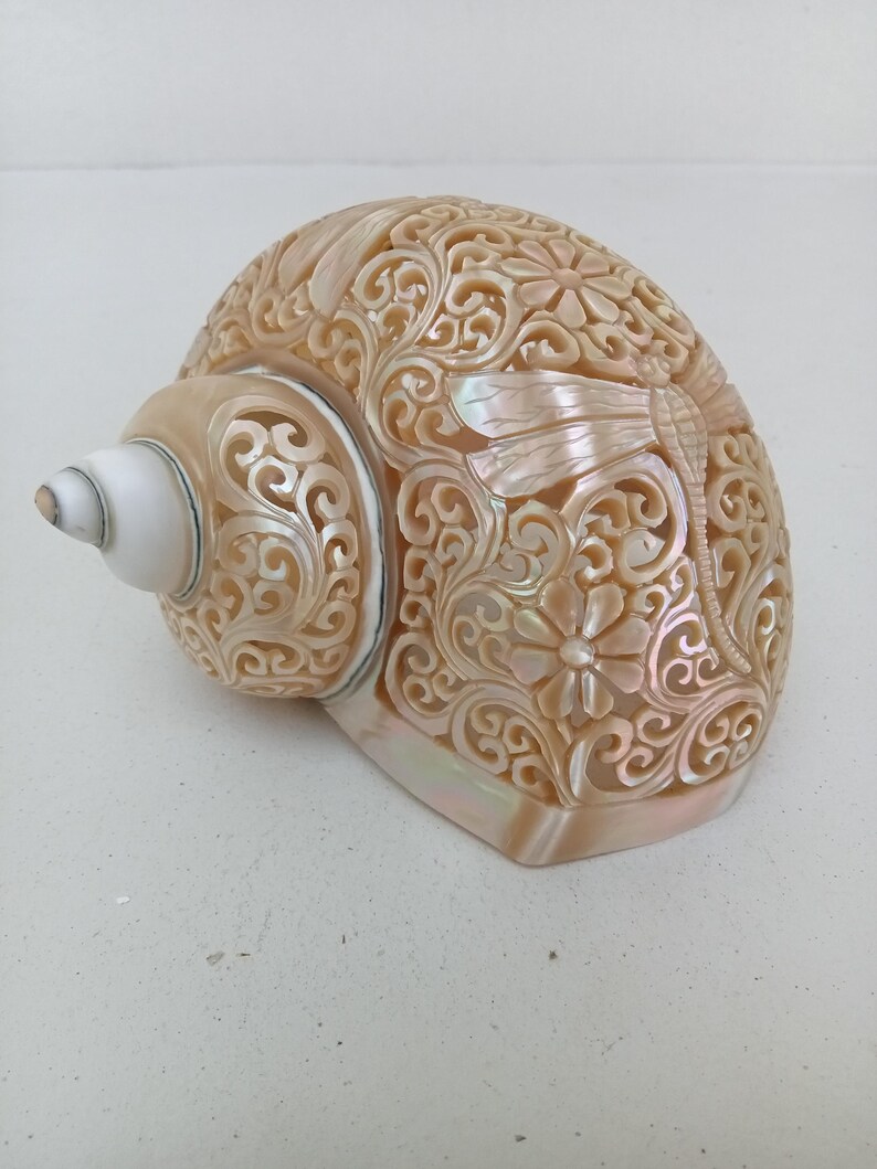 Natural Carved Turbo Conch Shell Dragonfly Designs