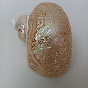 Carved Pearl Turbo Conch Shell-kolibrie: schelpdecor