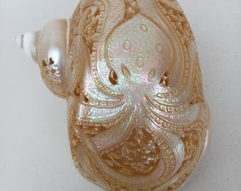 Hand Carved Octopus Shell Art Polished Green Turbo Natural Seashell