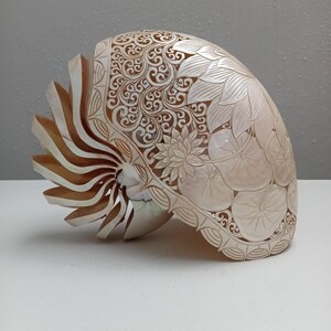 Pearl nautilus - Etsy 日本