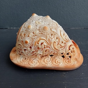 May include: A carved seashell featuring intricate relief patterns of swirling scrolls, floral motifs, and circular sunburst designs. The shell displays a natural gradient of cream, beige, and soft orange tones with a smooth, flat base.