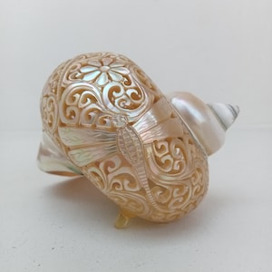 Natural Carved Turbo Conch Shell Dragonfly Designs