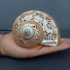 Hand Carved Turbo Shell Hummingbird: Natural Sea Shell Art