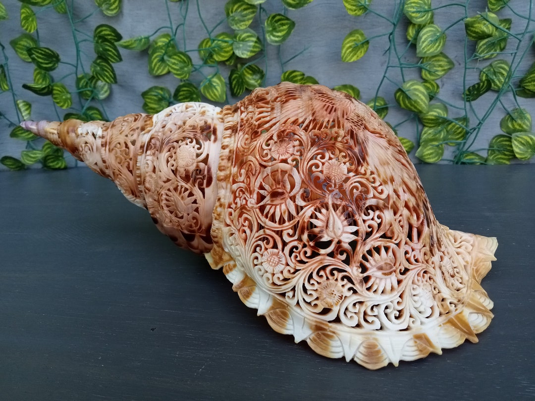 Hand Carved Trumpet Triton Shell Phoenix ,real and Natural Triton's ...