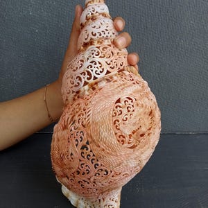 Dragon vs Phoenix: Hand Carved Triton Shell Real and Natural Seashell