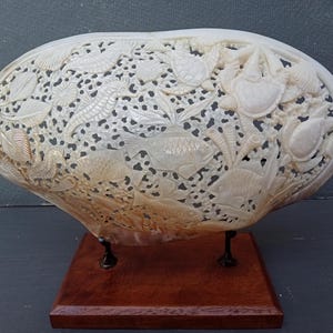 Carved Pearl Mussel Clam Shell XL: Natural Seashell Beach Decor on Stand