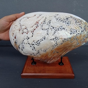 Könnte beinhalten: Eine große, kunstvoll geschnitzte Muschel mit einem braunen und weißen, irisierenden Finish. Die Muschel ist auf einem Holzsockel mit zwei Metallstützen montiert. Die Schnitzerei zeigt eine Vielzahl von floralen und tierischen Motiven.
