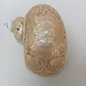 Perle sculptée Turbo escargot, motifs Barong, coquillage naturel
