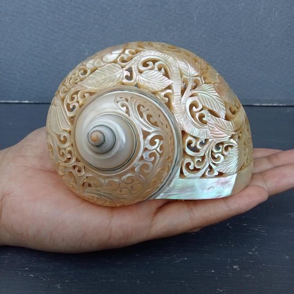 Geschnitzte Muschel Muschel Kolibri natürliche Sea Shell Art