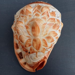 Cameo shell lamp - Etsy 日本